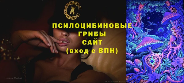 соль ск Алексеевка